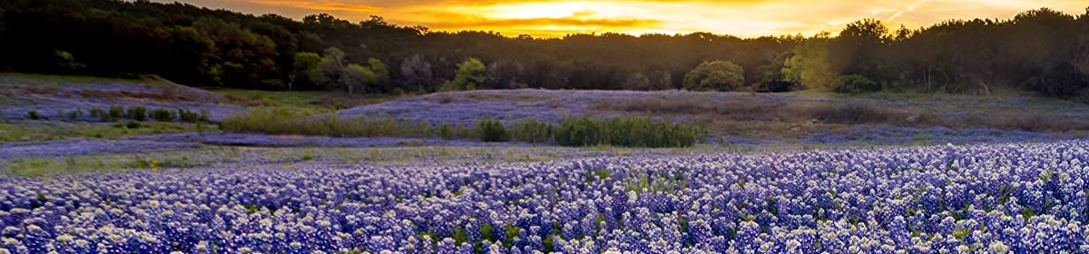 Flower Mound Preservation Group